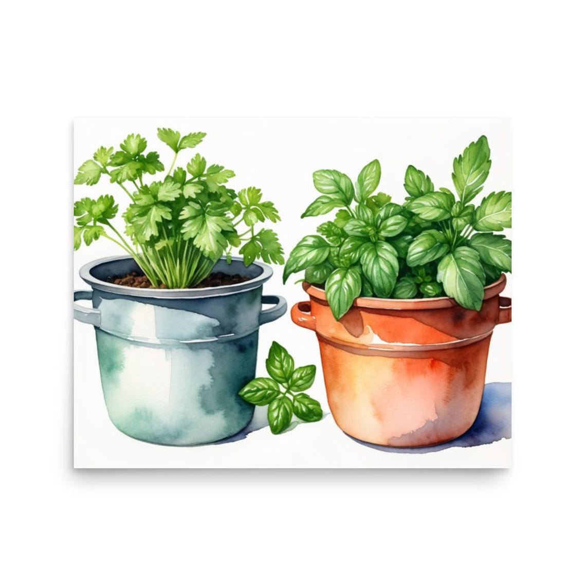 Fresh Basil and Parsley Potted Herbs Watercolor Kitchen Poster - Image 2