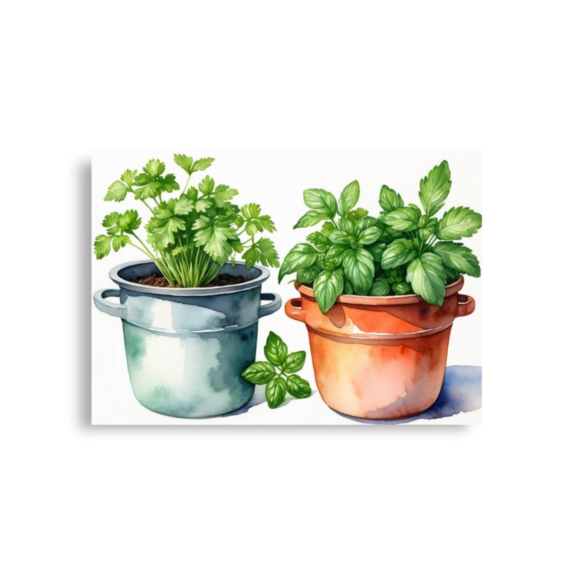 Fresh Basil and Parsley Potted Herbs Watercolor Kitchen Poster - Image 6
