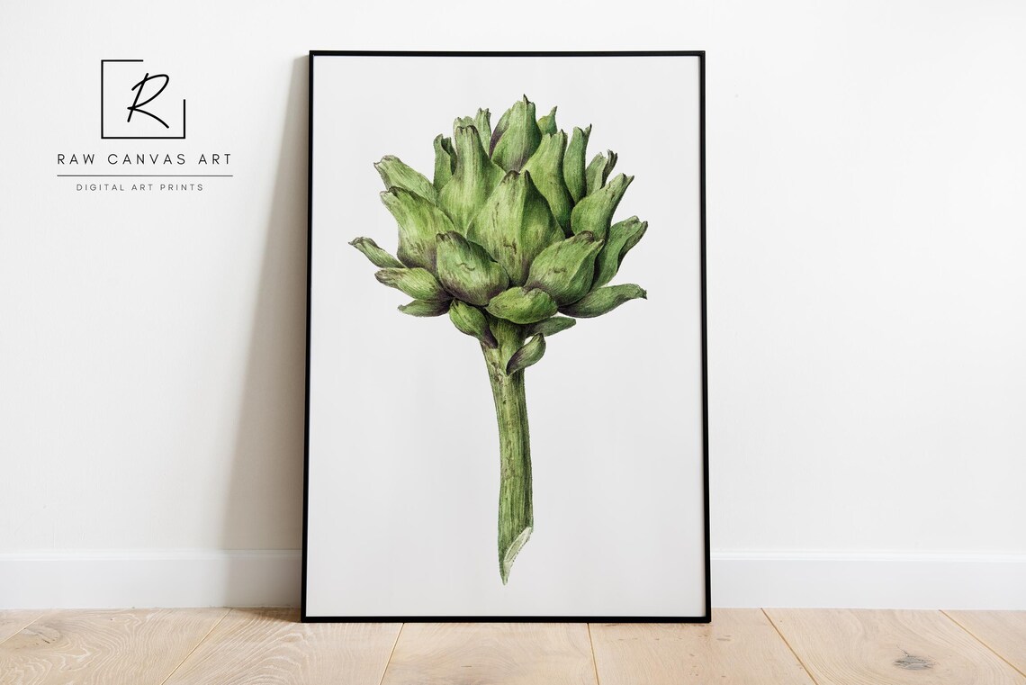Vintage Botanical Artichoke, French Country Decor - Image 3