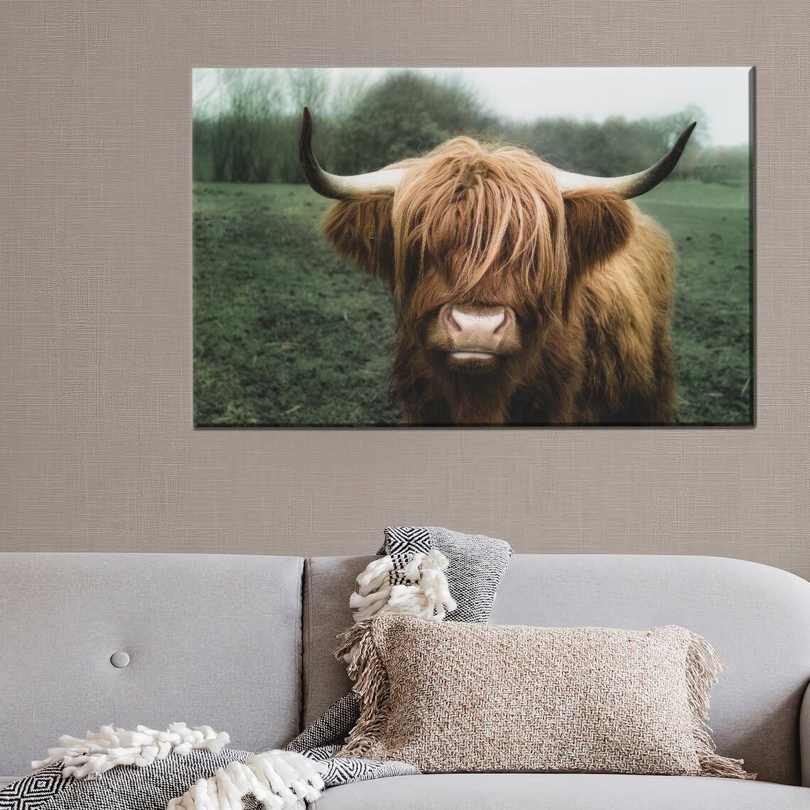 Scottish Highland Cow Close Up Portrait Farmhouse Style Poster