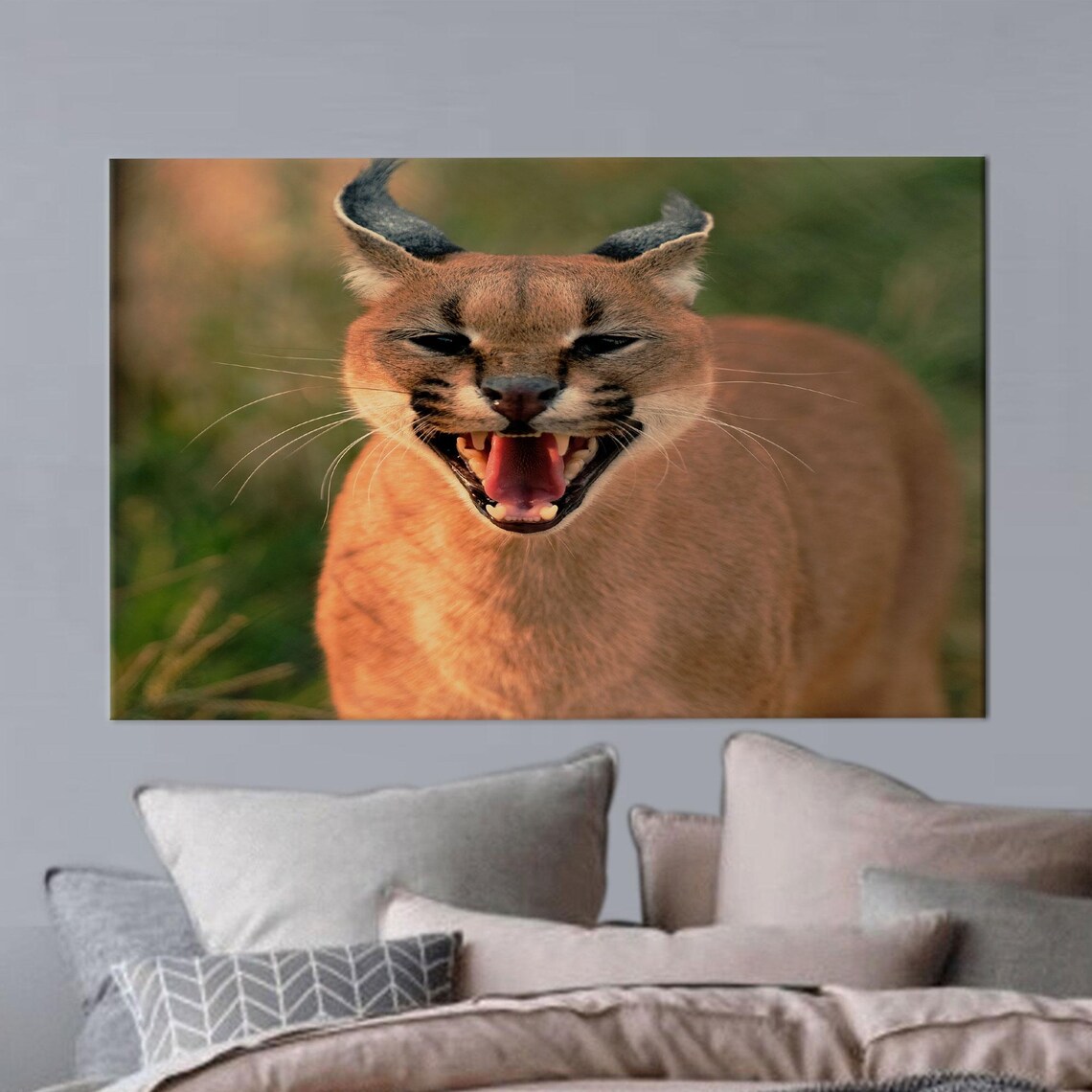 Snarling Caracal Wild Cat Close Up Wildlife Photography Poster