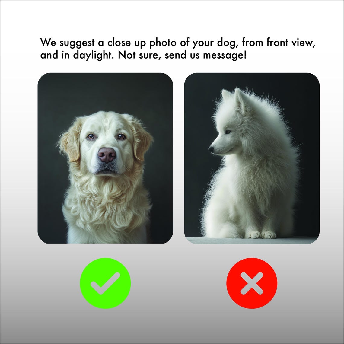 I Bow Wow To Love You Funny Dog Valentines Card From Your Dog Wall Art - Image 2