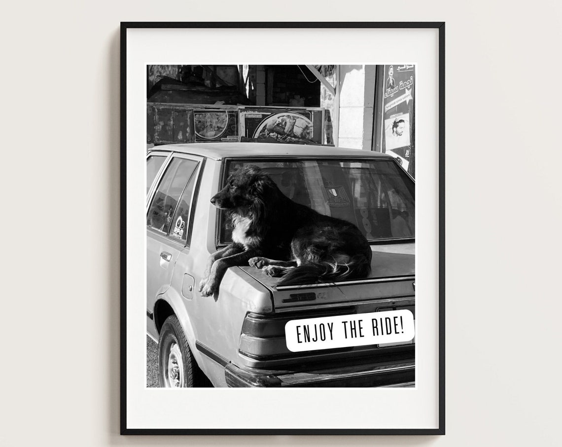 Enjoy The Ride Fun Travel Quote Print Sassy Holiday Gift For Dog Lovers Cute Dog Photography Egypt Wall Art Quote Sassy Strays Photo - Image 3