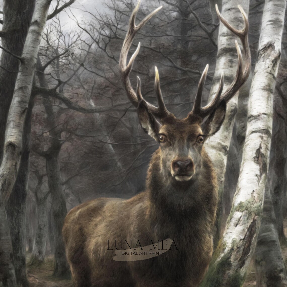 Vintage Deer Stag Portrait Birch Forest Rustic Woodland Animal Wall Art - Image 3