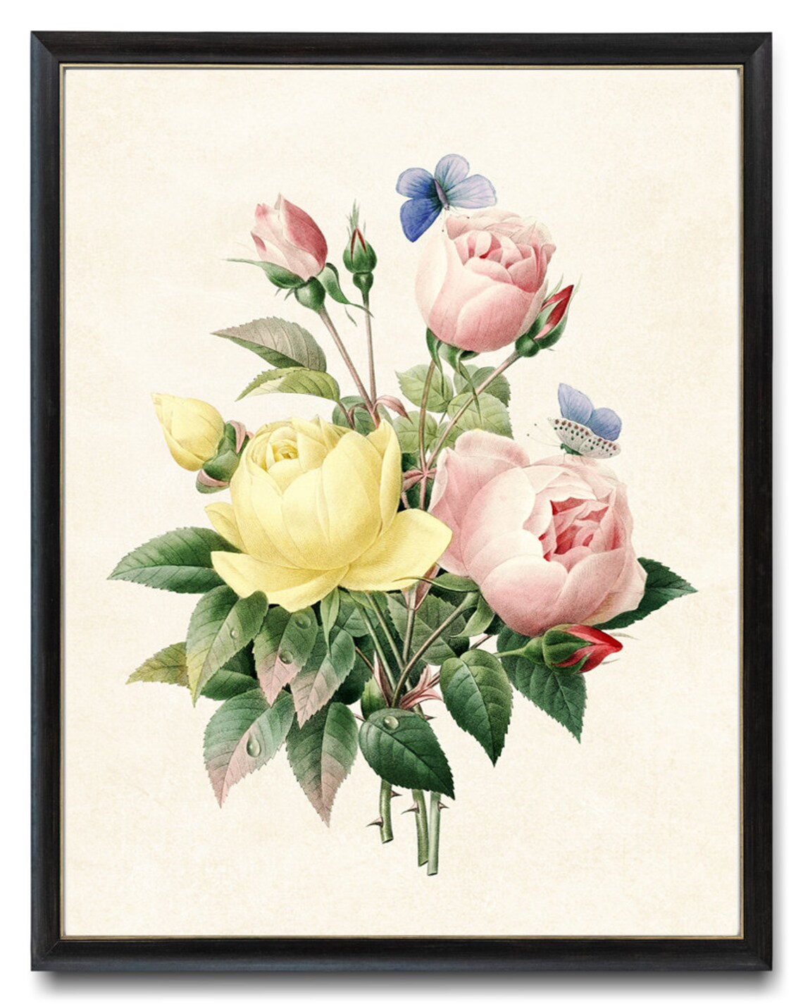Rose Bouquet Vintage Illustration Art Print