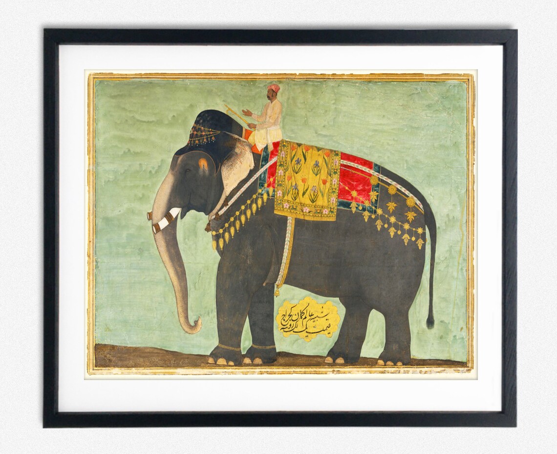 Indian Elephant From 1640, Wildlife Poster Print
