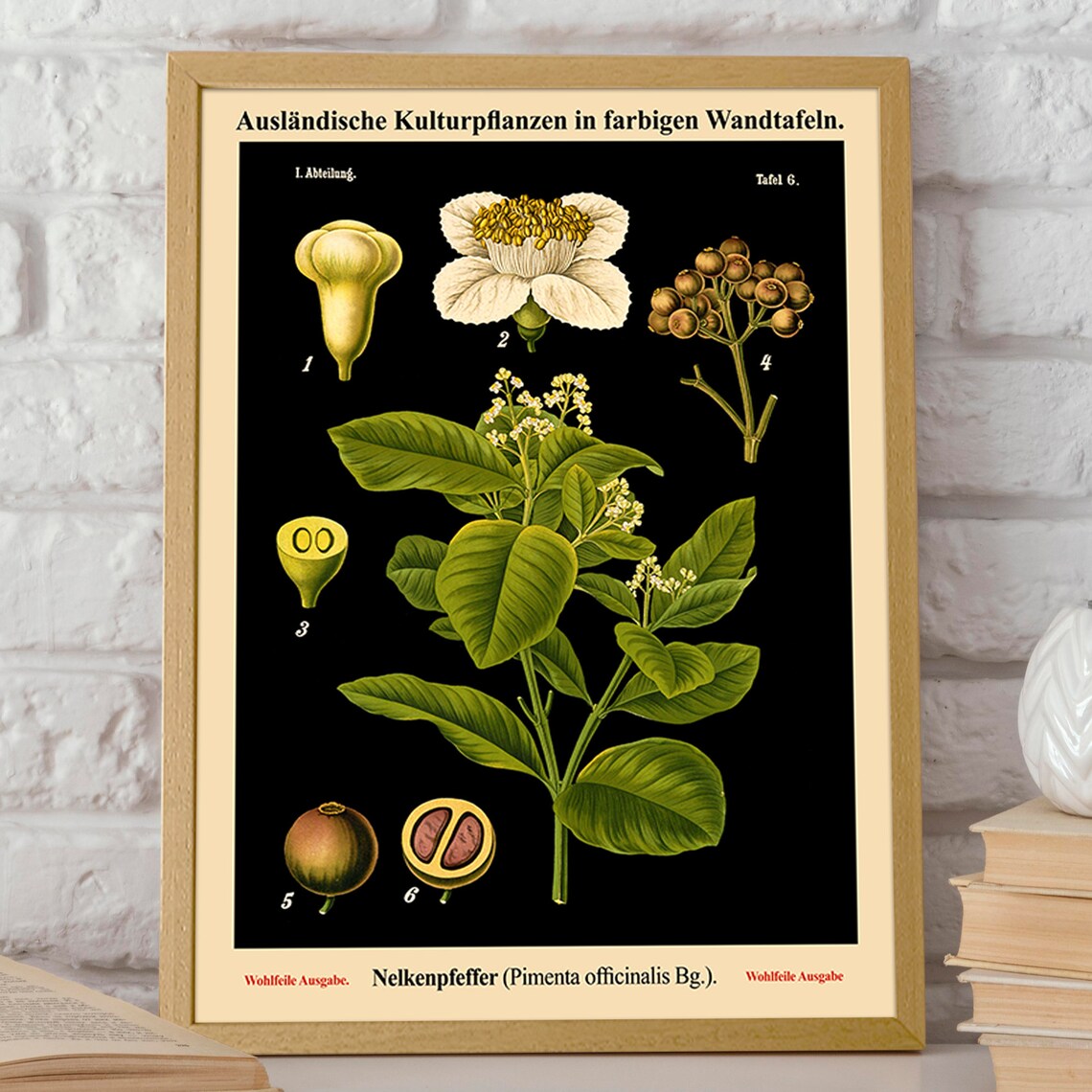 Black Botanical Pepper Chart, Vintage Wall Art Print - Image 2