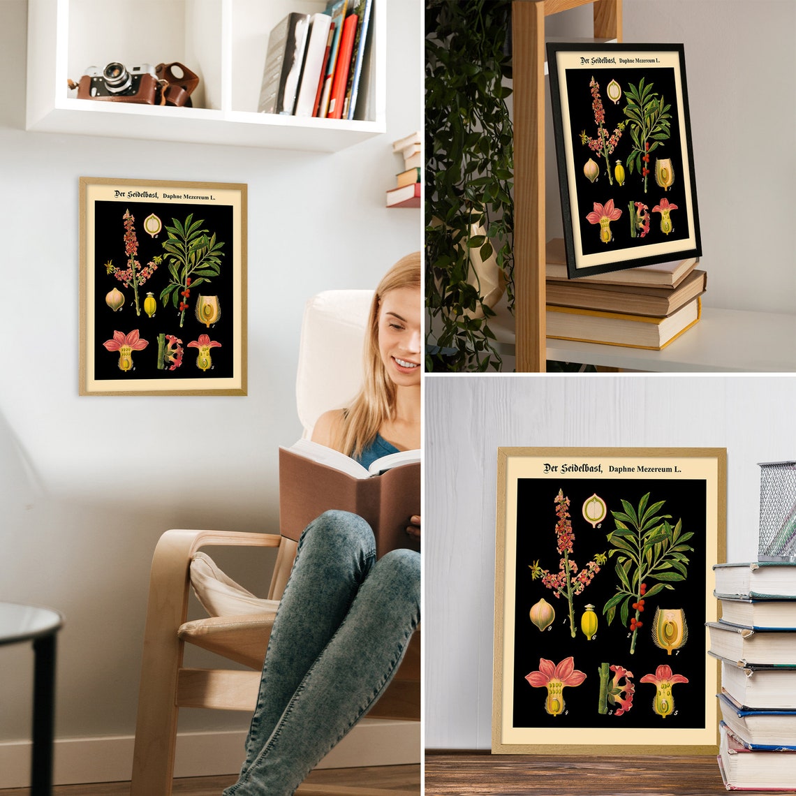 German Botanical Chart, Educational Poster - Image 2
