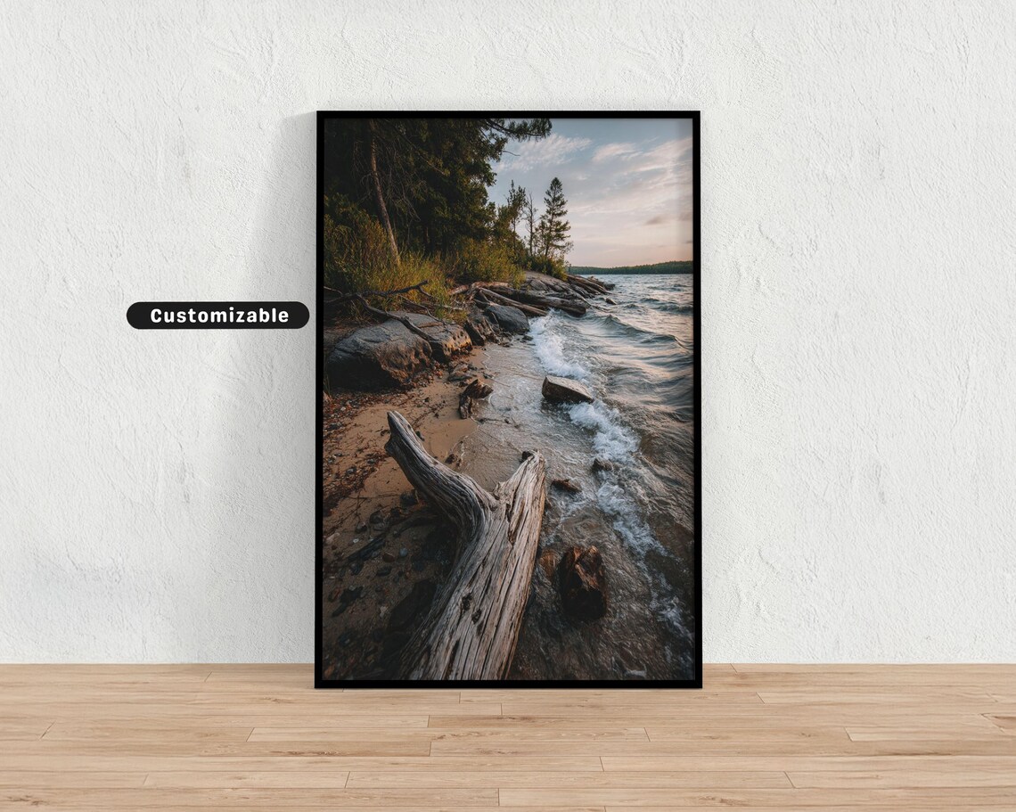 Weathered Driftwood On Rocky Shoreline Golden Hour Photo Print