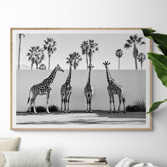 Fine Art Black And White Giraffe Print Framed Photography Safari Minimalist Wall With Palm Trees Home Decor