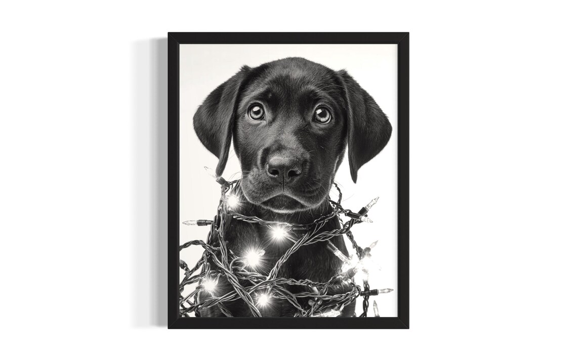 Adorable Black Labrador Retriever Puppy In Christmas Lights Poster