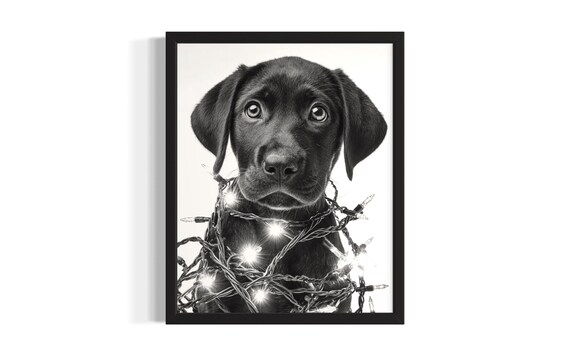 Adorable Black Labrador Retriever Puppy In Christmas Lights Poster