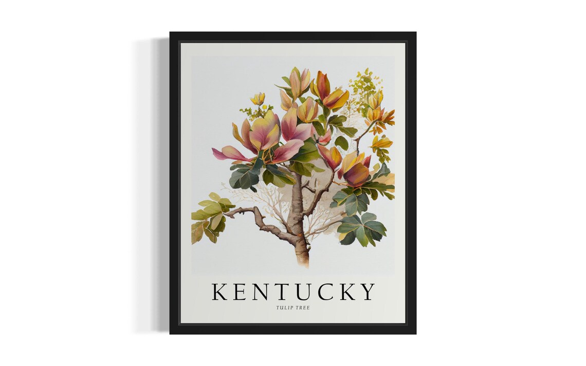 Kentucky Tulip Tree State Flower Watercolor Botanical Poster