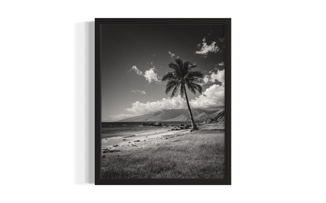 Black And White Maui Beach Palm Tree Ocean Waves Mountain Poster