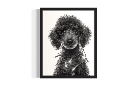Curly Poodle Puppy Tangled In Twinkling Christmas Lights Poster