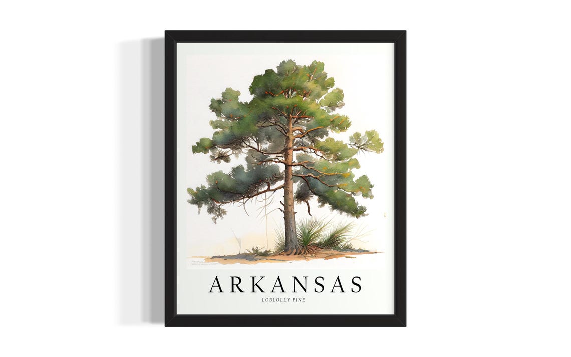 Arkansas Loblolly Pine Tree Watercolor Botanical State Tree Poster