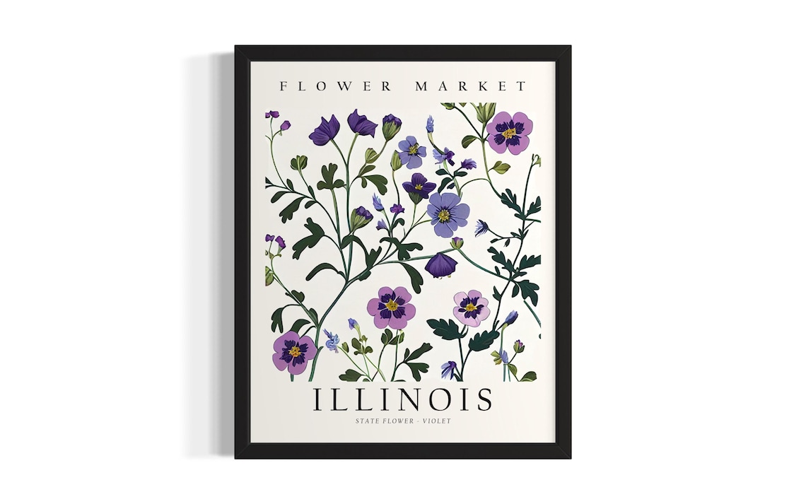 Illinois State Flower Violet Botanical Flower Market Art Poster