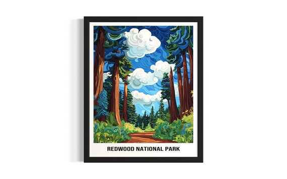 Redwood National Park Towering Redwood Forest Path Art Poster
