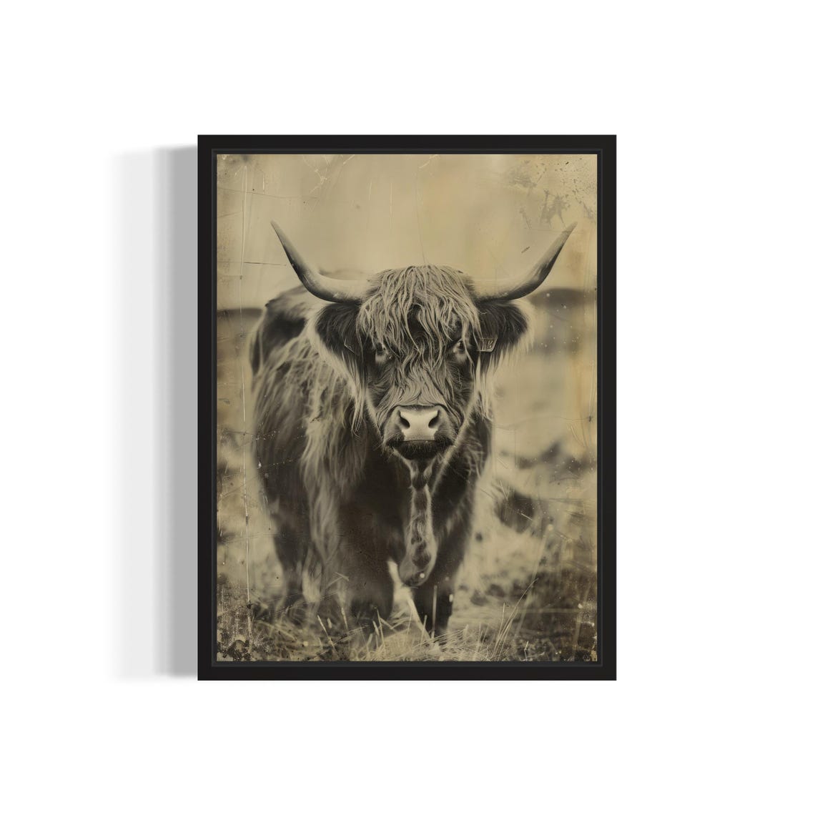 Highland Cow Sepia Farm Portrait Vintage Rustic Wall Decor Poster