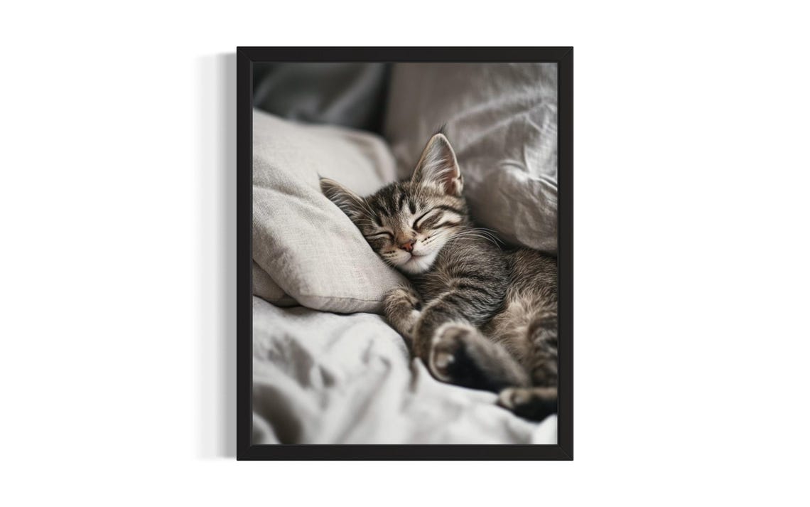 Adorable Sleeping Tabby Kitten Napping on Cozy Pillow Poster