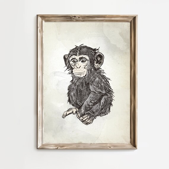 Baby Chimpanzee Sitting Sketch Safari Nursery Primate Poster