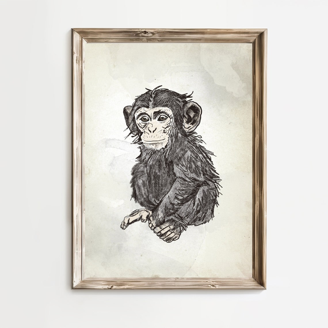 Baby Chimpanzee Sitting Sketch Safari Nursery Primate Poster
