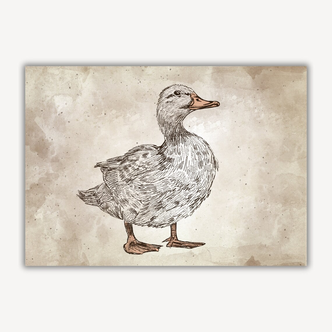 Vintage Walking Duck Ink Sketch Farmhouse Nursery Decor Poster - Image 3
