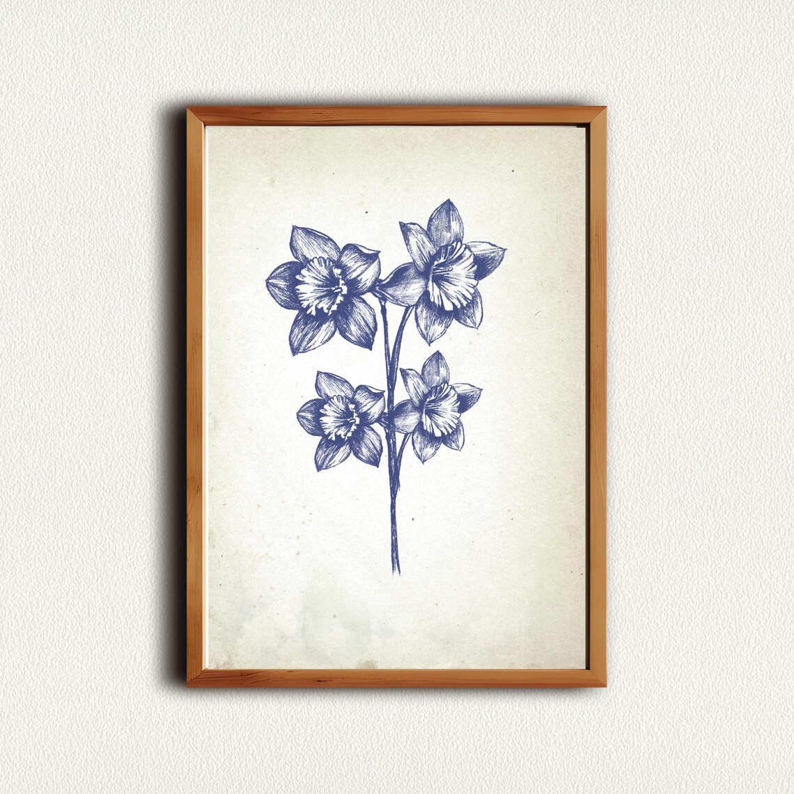Cluster of Four Daffodils in Vintage Blue Botanical Art Poster - Image 2