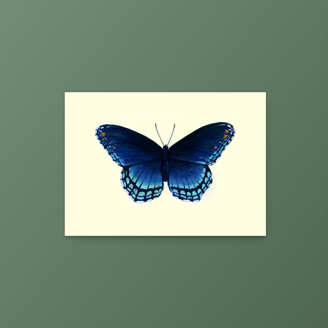 Red Spotted Purple Butterfly Limenitis Arthemis Gouache Art Mini Print 5 X 7 - Image 4