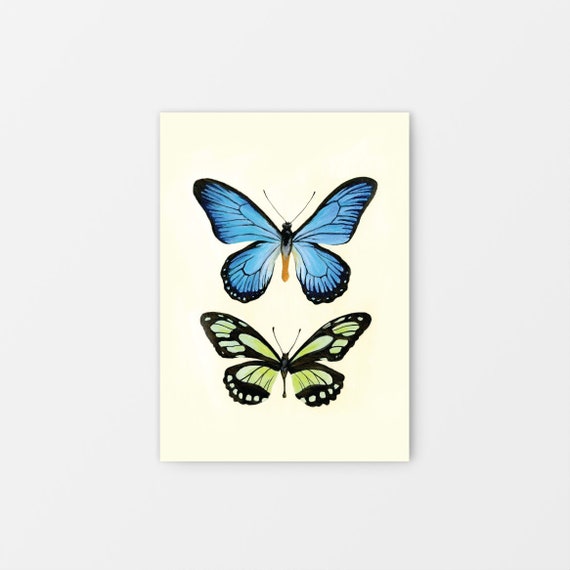 Butterfly No2 Gouache Art Print