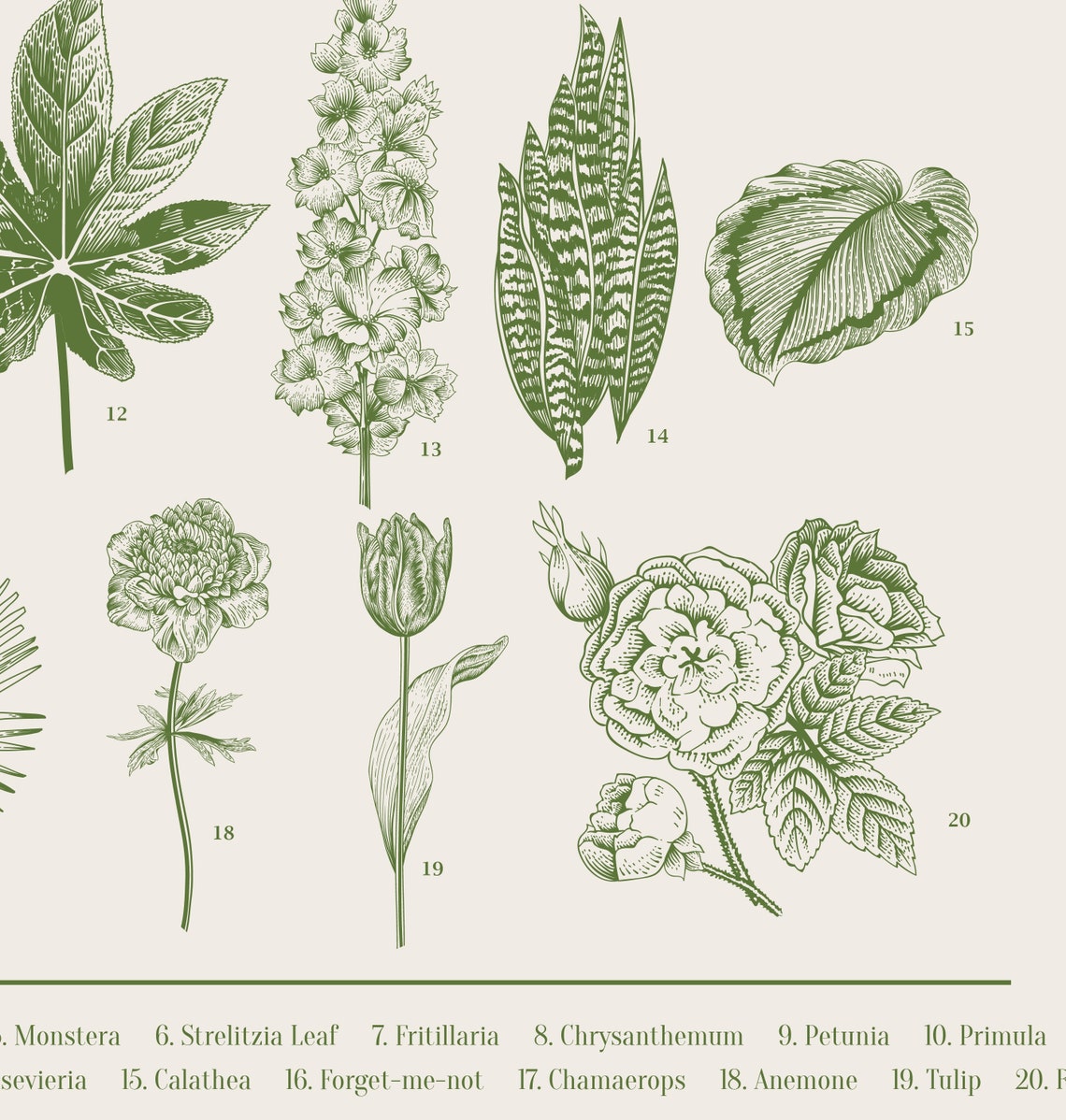 Green Botanical Print, Botanical Wall Art Poster - Image 3