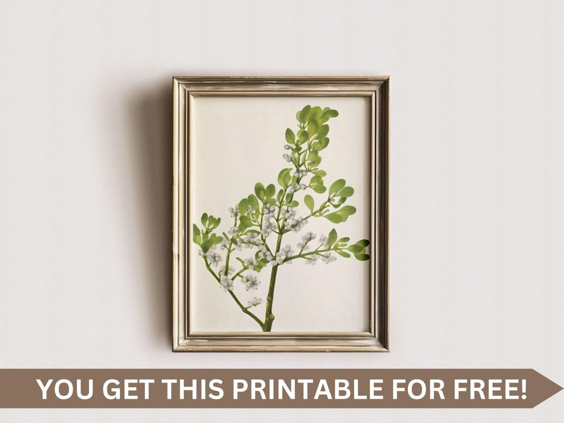 Red Winter Berry Branch Botanical Watercolor Holiday Art Poster - Image 7