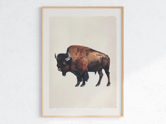 Vintage Bison Natural History Poster Buffalo Art Print For Rustic Wall Cowboy Decor Ranch Office Or Western Americana Interior