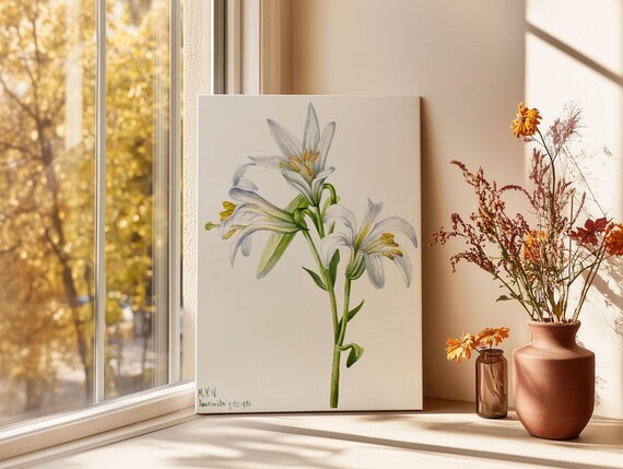 White Lily Watercolor Vintage Botanical Flower Study Wall Art