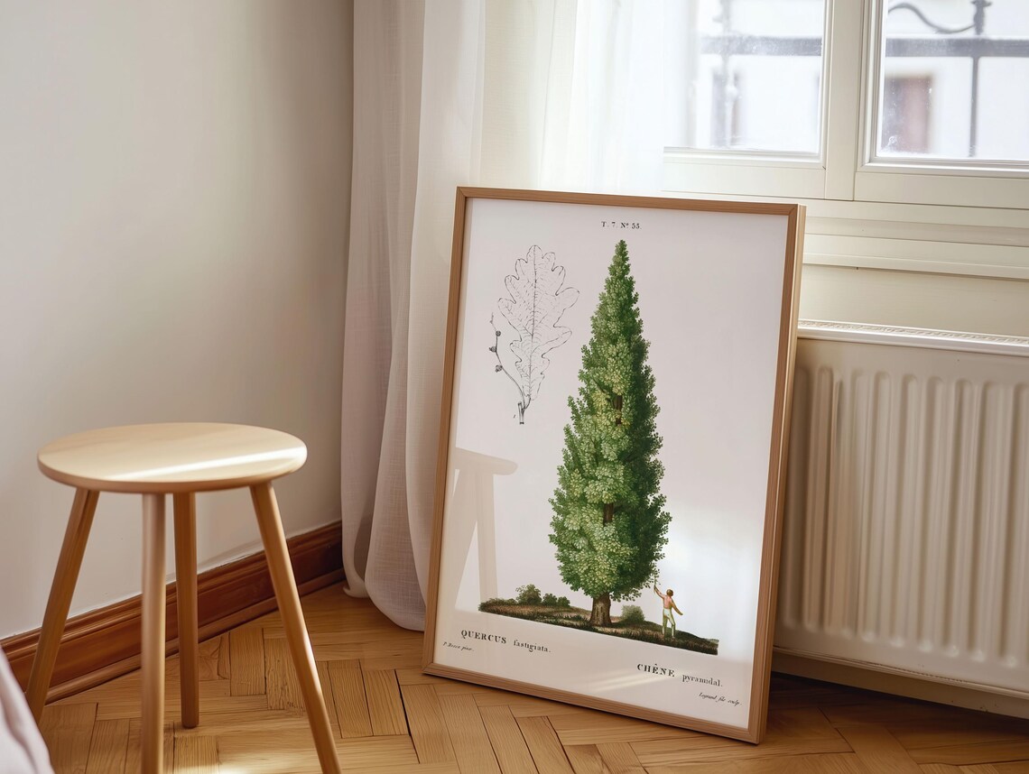 Redout English Oak Art Print Vintage Botanical Wall