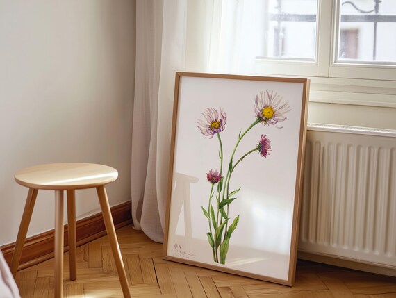 Alaska Fleabane Daisy Vintage Botanical Watercolor Flower Poster