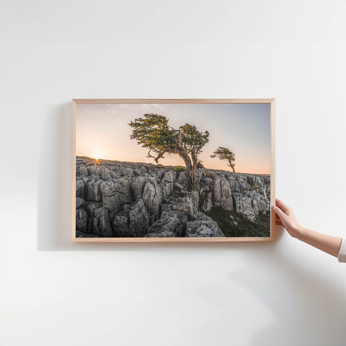 Windswept Trees on Ancient Limestone Pavement Golden Sunset Poster - Image 2