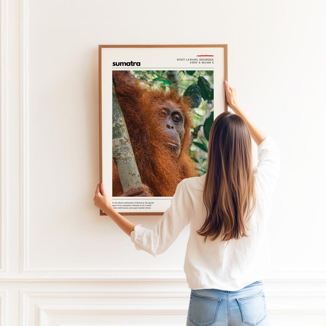 Sumatra Orangutan Close-Up Rainforest Wildlife Portrait Poster - Image 2