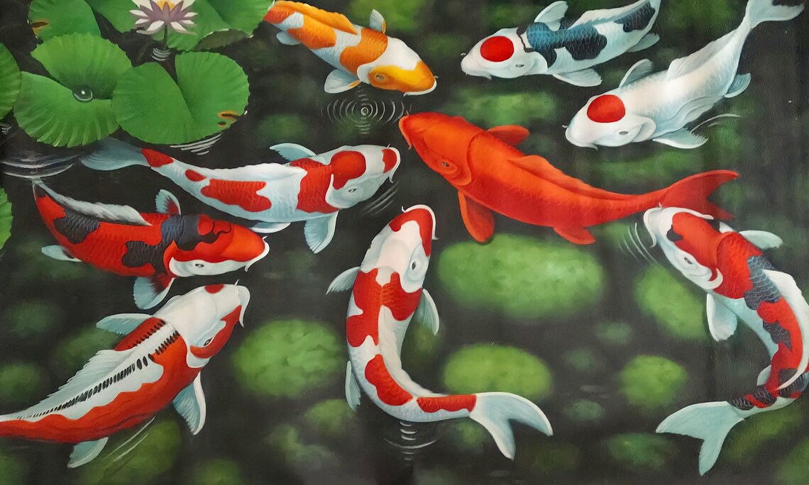 9 Koi Fish Painting, Fresh Natural Nuance - Image 4