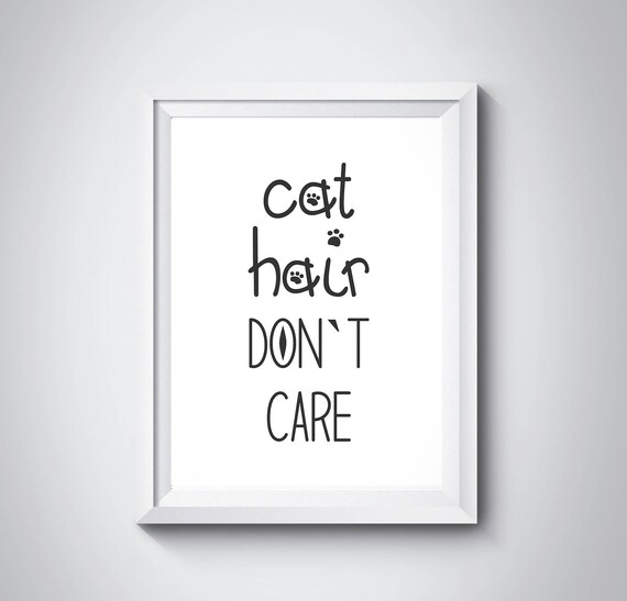Cat Hair Dont Care Funny Sweet Paw Cat Lover Quote Gift Poster