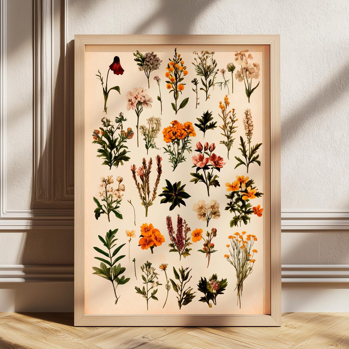 Vintage Wildflower Botanical Study Chart Minimalist Art Poster