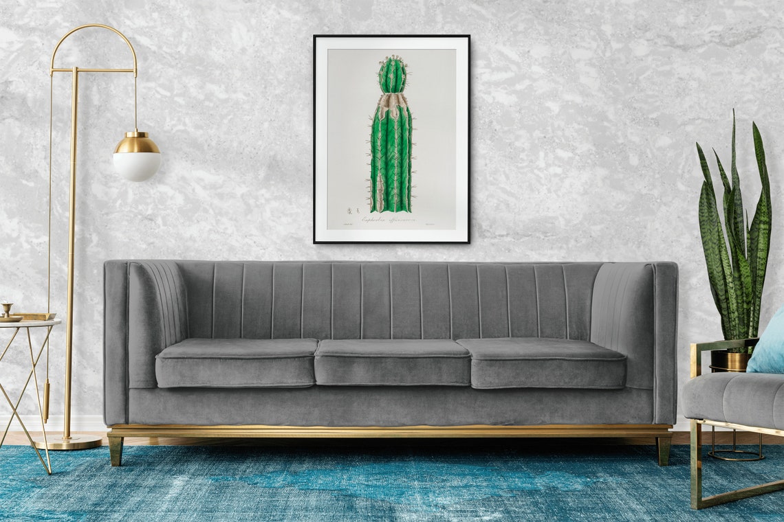 Euphorbia Officinarum Columnar Succulent Botanical Illustration Poster - Image 2