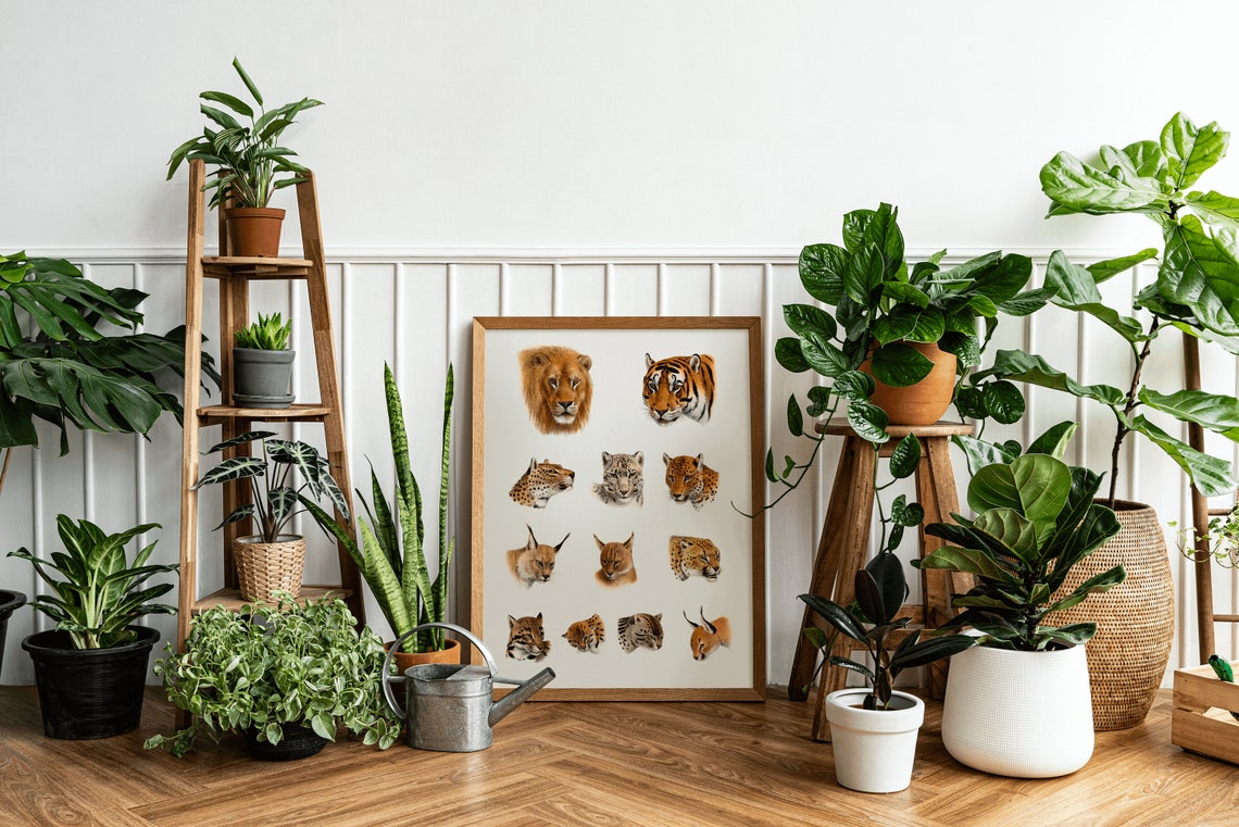 Vintage Wild Cat Heads Chart Lion Tiger Leopard Species Art Print - Image 3