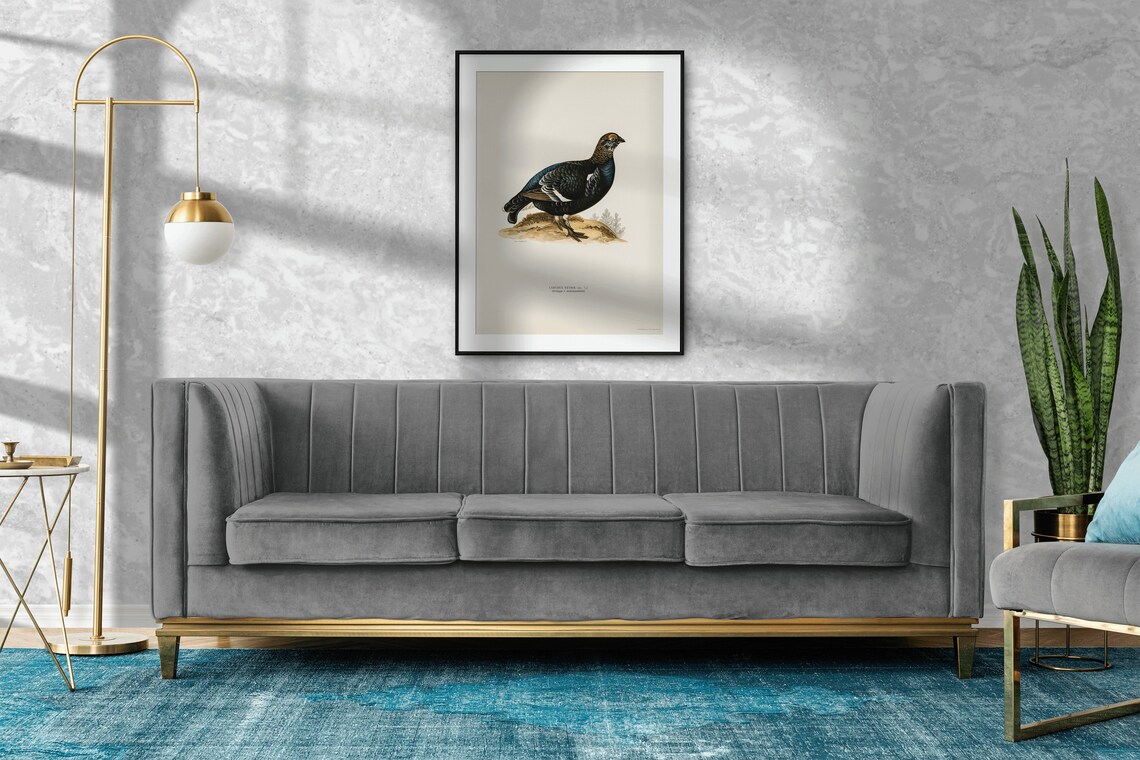 Black Grouse Vintage Ornithological Bird Illustration Art Poster - Image 2