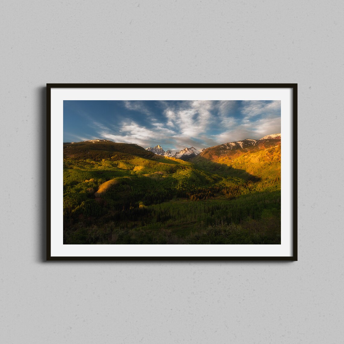 Aspen Forest Photo Print, Colorado Autumn Landscape