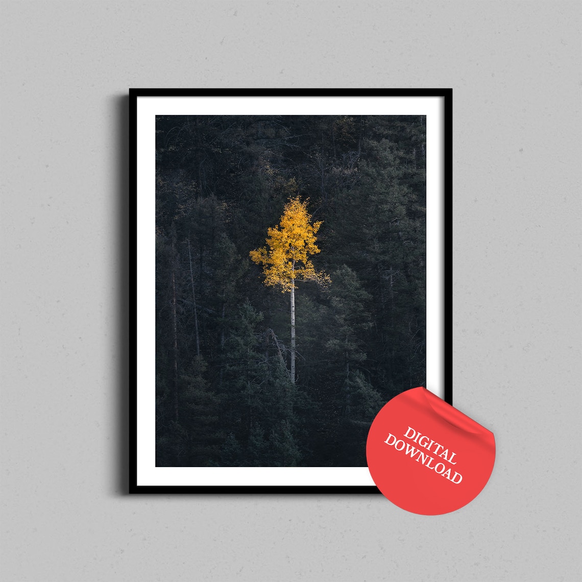 Aspen Tree Autumn Travel Poster, Colorado Mountains
