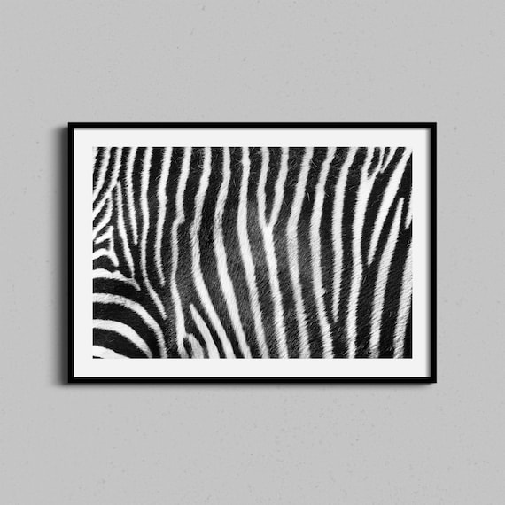 Zebra Stripes Wall Art Abstract Photography Print Black And White Photo Minimal Texture Artwork Africa Animal Modern Home Decor