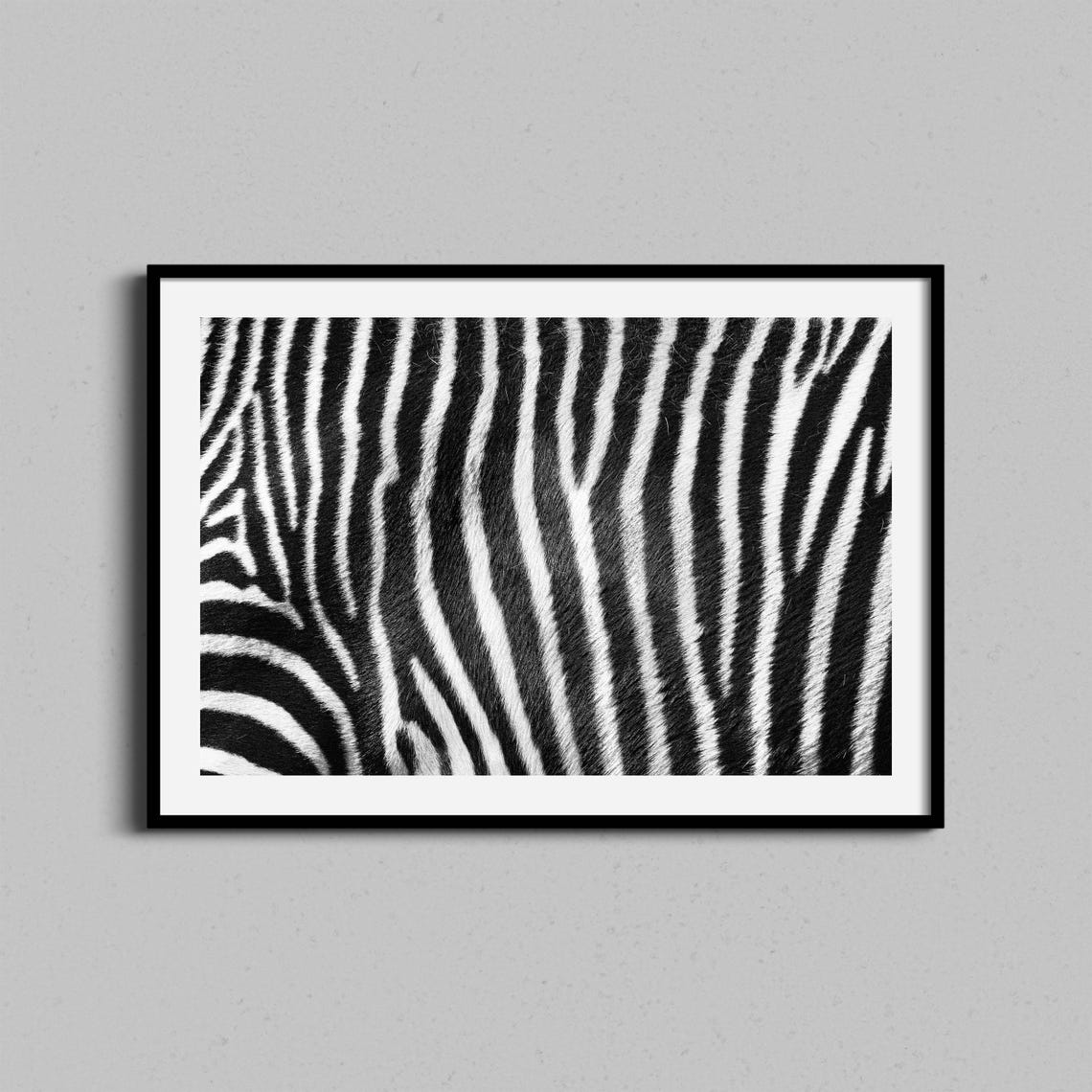 Zebra Stripes Close Up Black and White Abstract Animal Print Art
