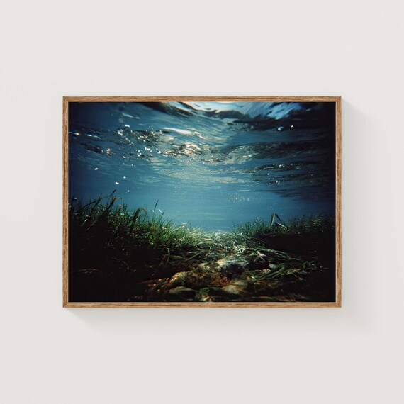 Underwater Seascape Seagrass Ocean Surface Light Fine Art Print