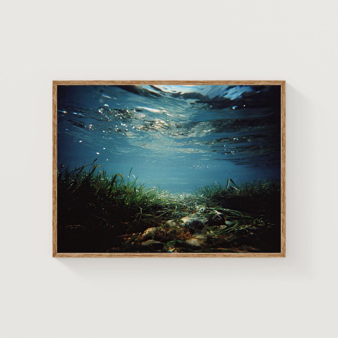 Underwater Seascape Seagrass Ocean Surface Light Fine Art Print